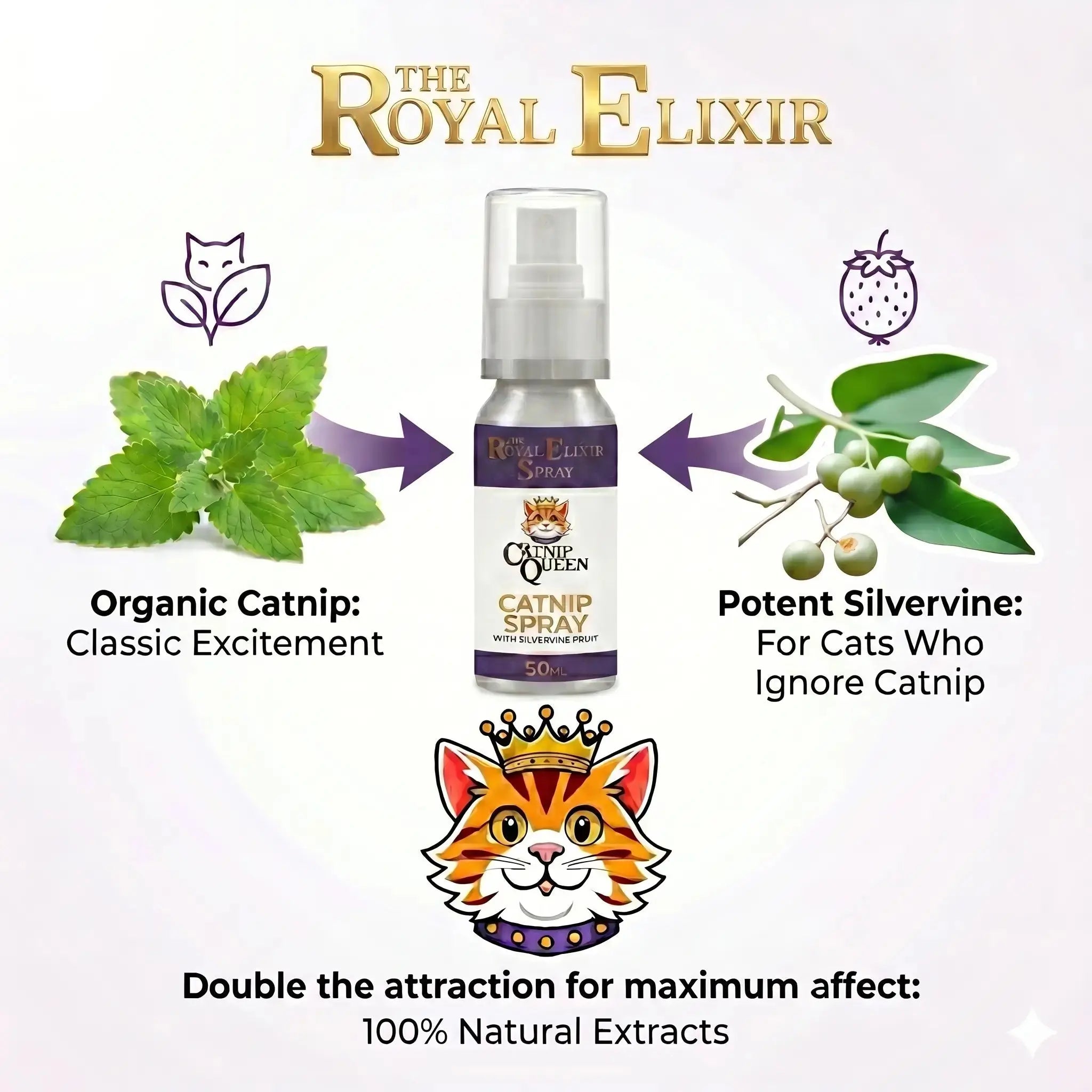 Silvervine vs Catnip: Why 80% of Cats Prefer the Vine